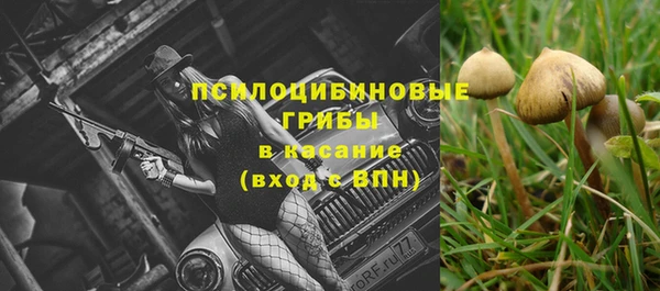 синтетический гашиш Краснослободск